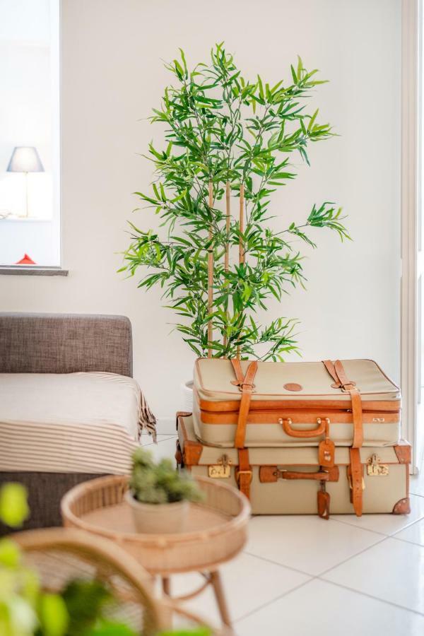 Camerelle 33 Capri Luaran gambar